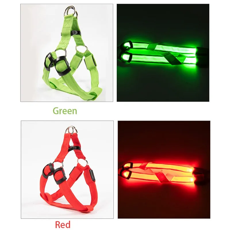 LED Glow in the Dark Harness (No-Pull)