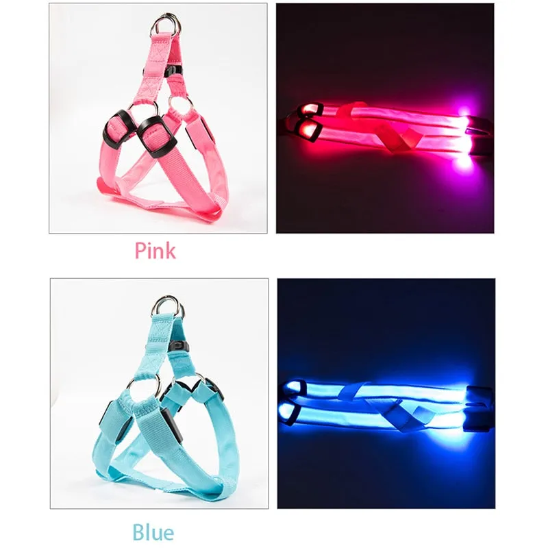 LED Glow in the Dark Harness (No-Pull)