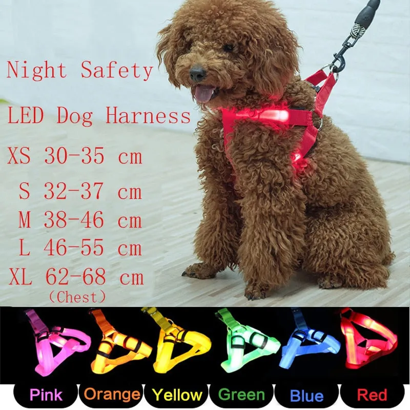 LED Glow in the Dark Harness (No-Pull)