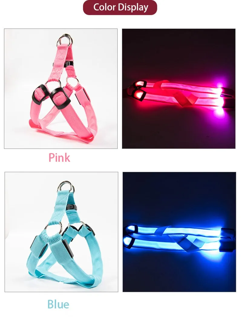 LED Glow in the Dark Harness (No-Pull)